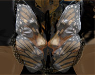 Butterfly Kiss