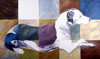 Checkered Dog