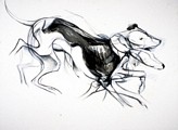Animation