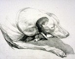 Repose