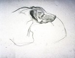 Jack Profile