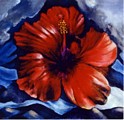 Hibiscus Heaven