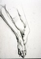 Paws