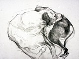 Twisted Sleep