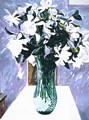 White Flowers